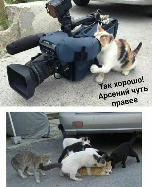Завалялось тут случайно немного забавных картинок