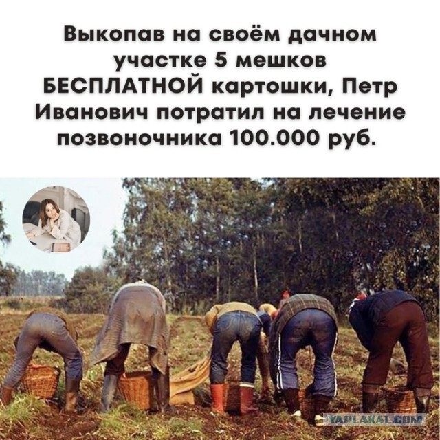 Никакие картинки и такие же тексты