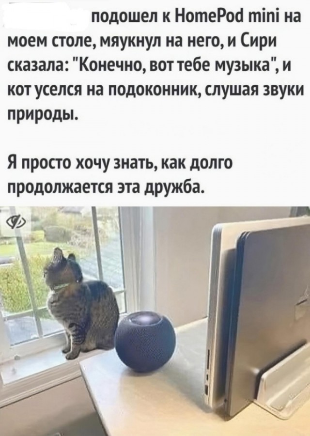 Так себе картинки 01.06.24