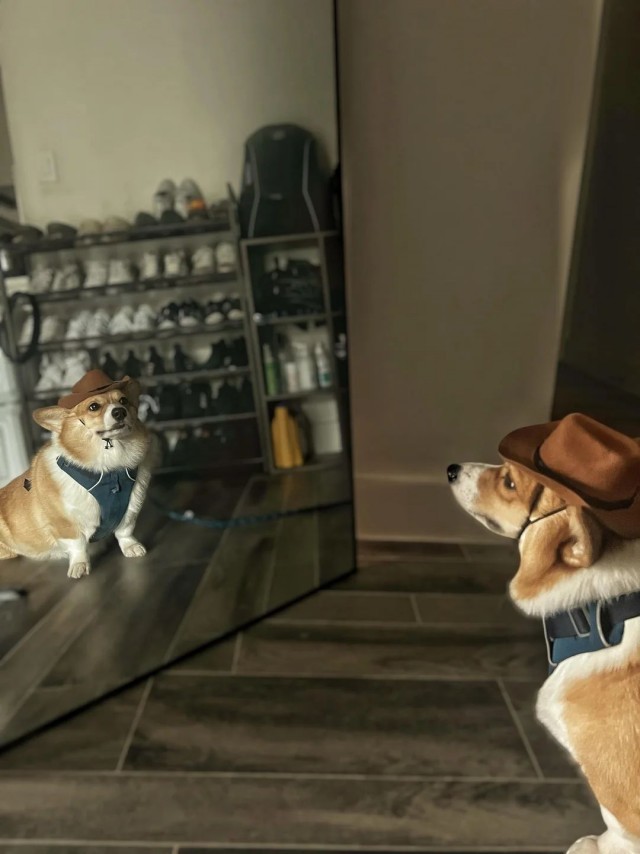 ФотоВинегрет
