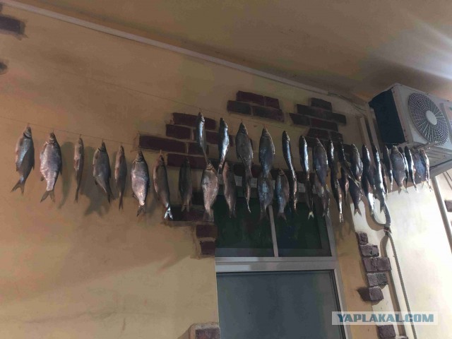Дача, рукоделие, стройка