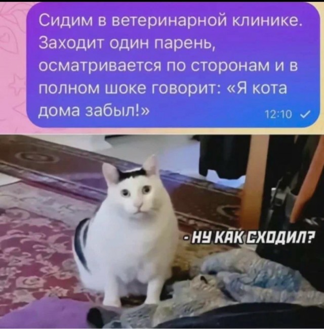 Смехотерапия. Весёлые картинки