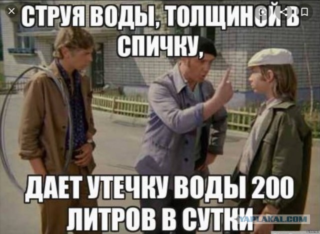 Пописал на дорожку...