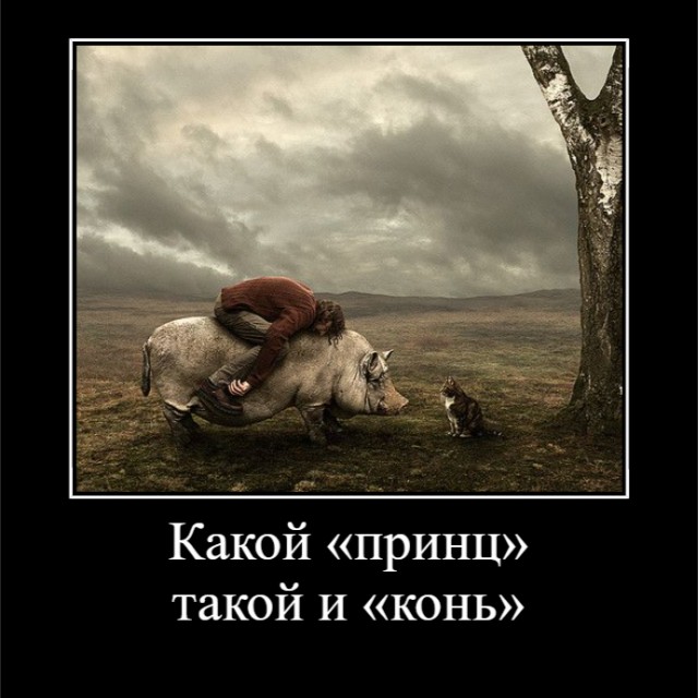 Теперь я за Курскую область спокоен. Пацаны в ответе