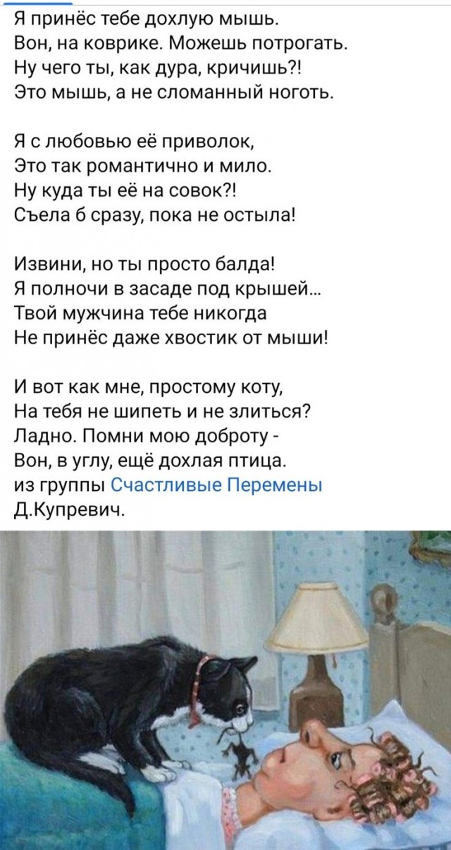 Прикольные и просто красивые картинки 28.01.2025