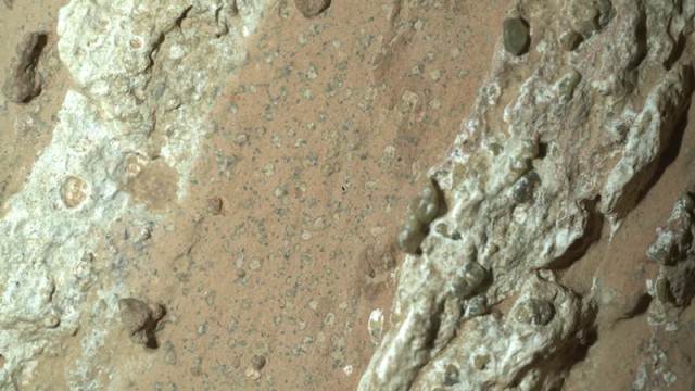 Обнаружены самые убедительные признаки древней жизни на Марсе — «семена мака» и «леопардовые пятна»