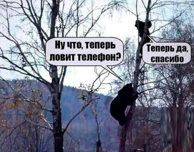 Так себе картинки 27.03.25