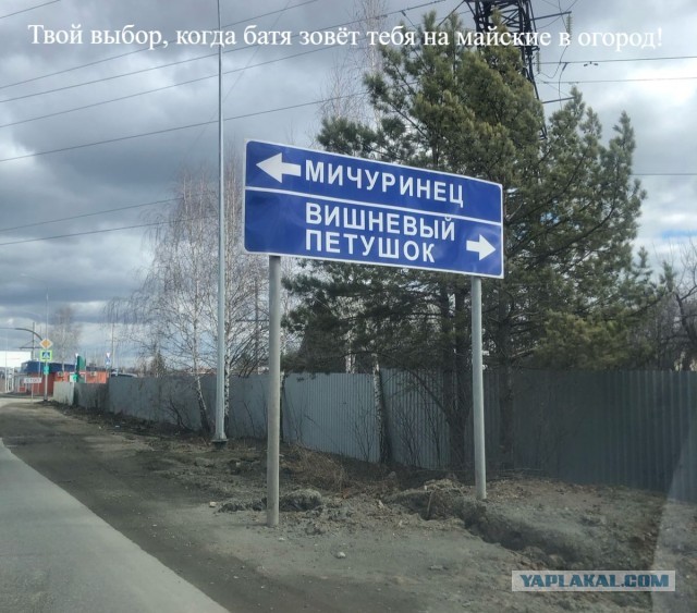 Одна картинка!