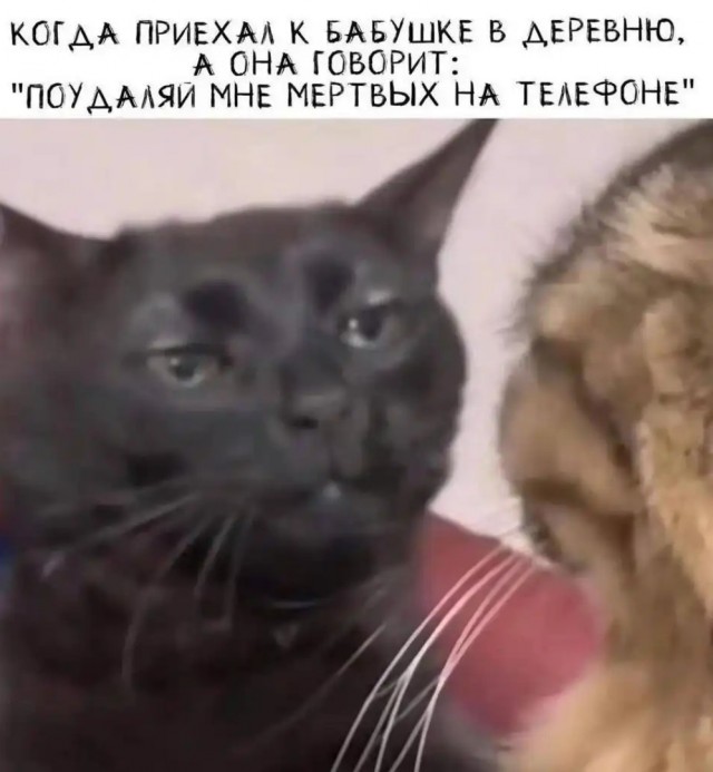 Завалялось тут случайно немного забавных картинок