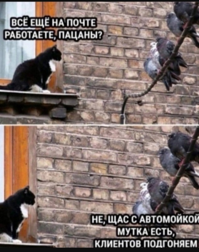 Юмор за день