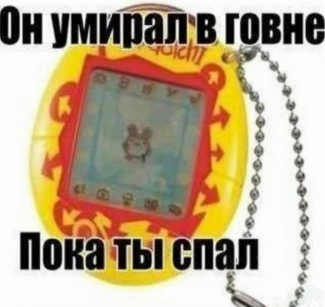 Сеня, дичь!