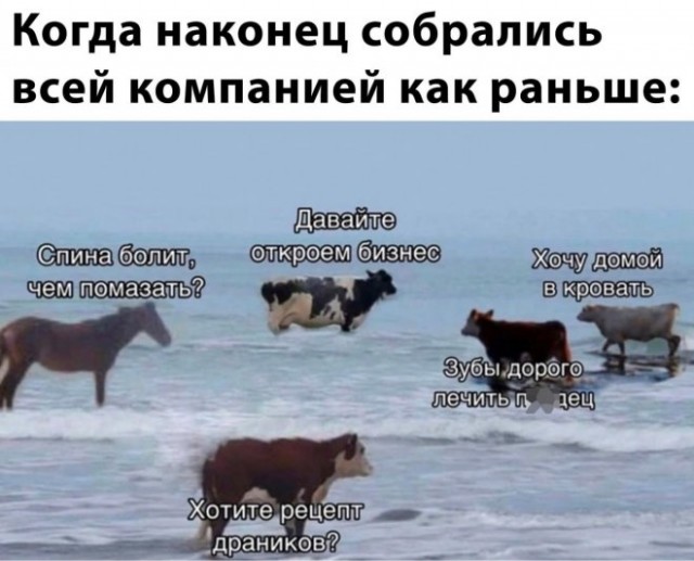 Веселые картинки в маленькую пятницу (11.06)