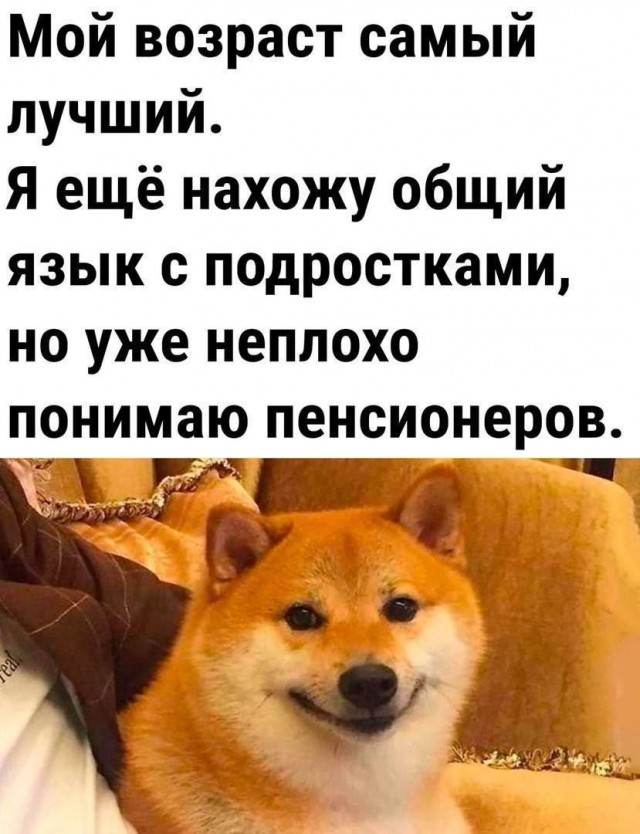 Картинки для деградации 55 (разной степени свежести)