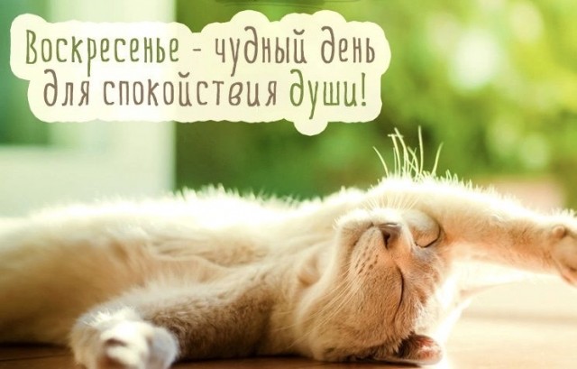 Воскресные картинки