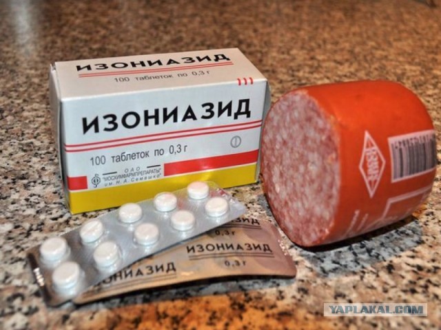 Любителям собачек
