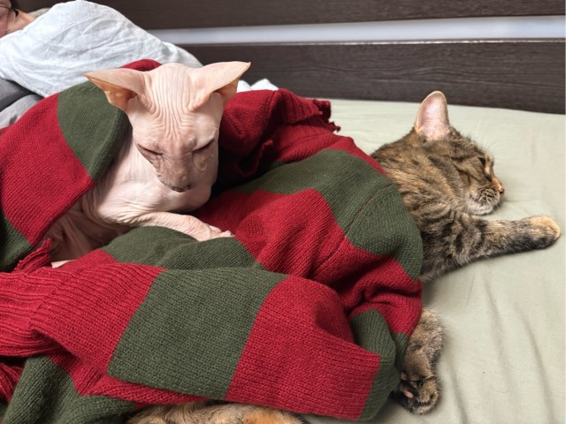 Тазик наше всё