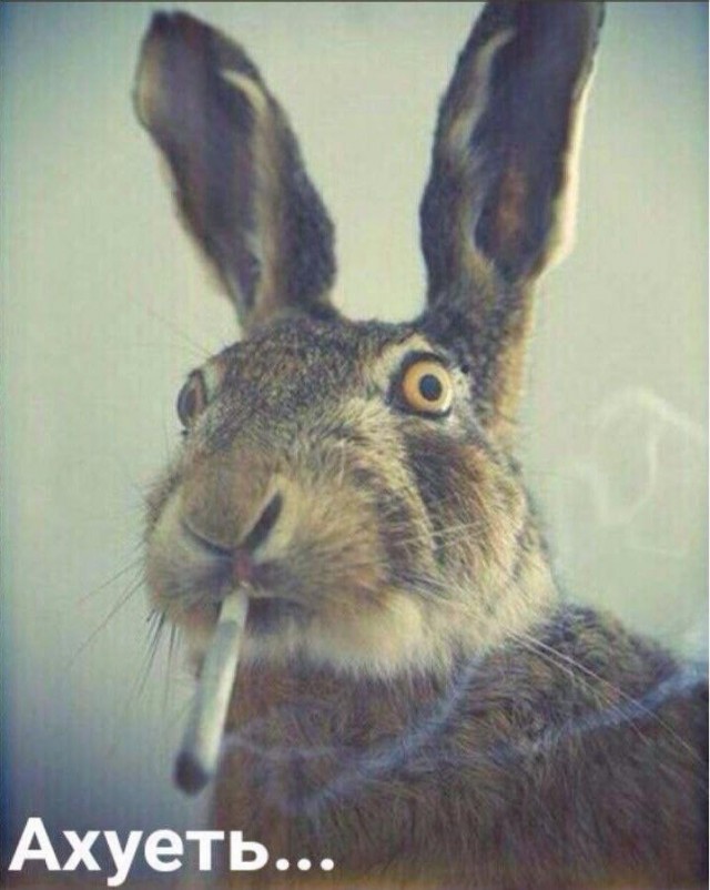 А что, если…