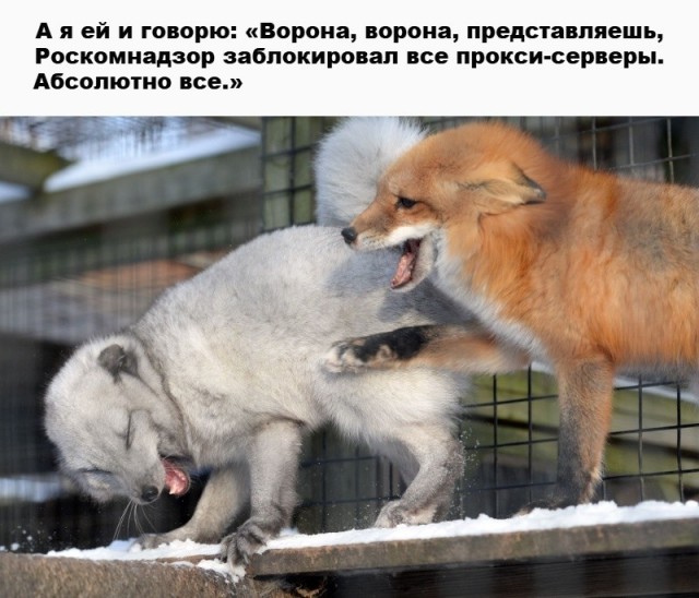 Так себе картинки 14.05.26