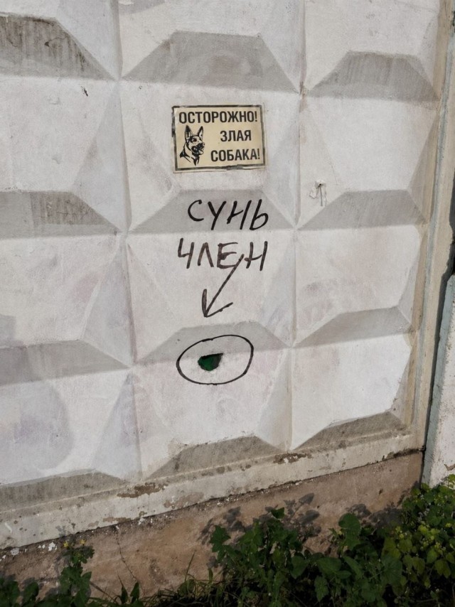 Картинки для деградации 203  (разной степени свежести)