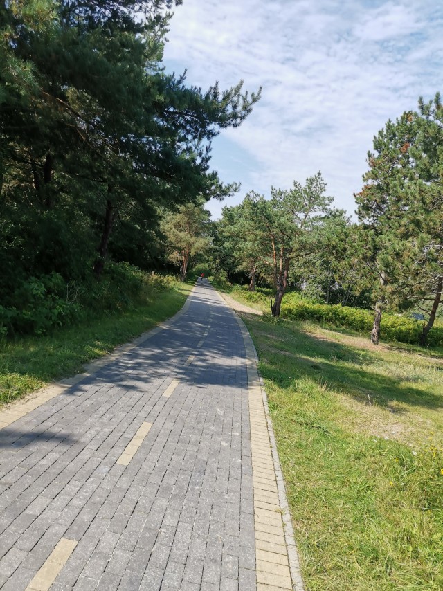 Субботний велопробег до моря