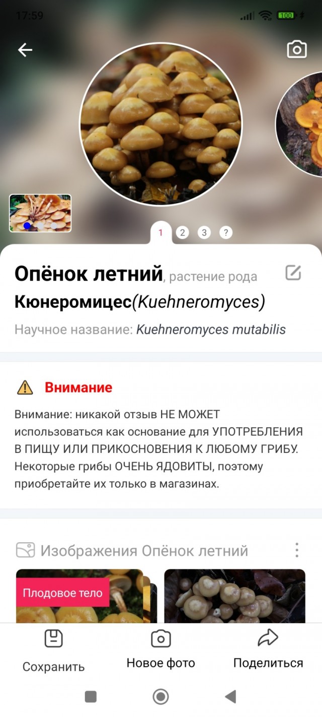 Пока вы там на работе сидите