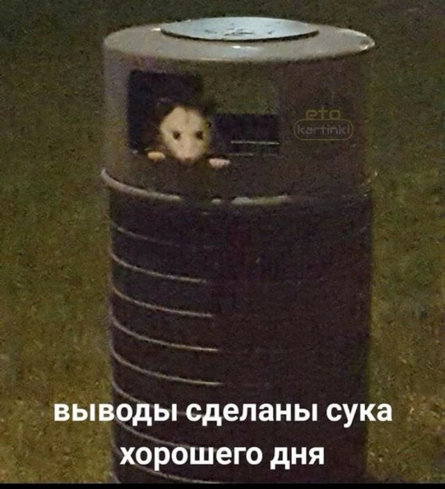 Мозг утерян безвозвратно, мы танцуем прикроватно!