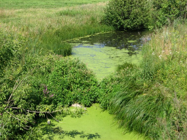Село Батурино, Рязанская область