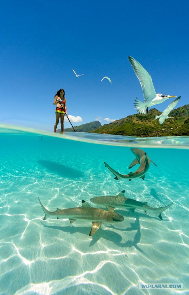 28 самых удачных кадров февраля