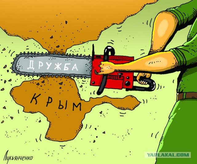 На что ещё пригодна бензопила "дружба"?
