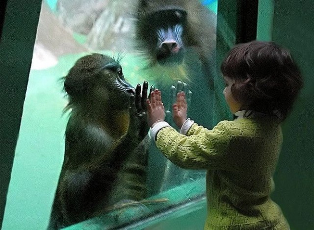 Забавные картинки и комменты из соцсети