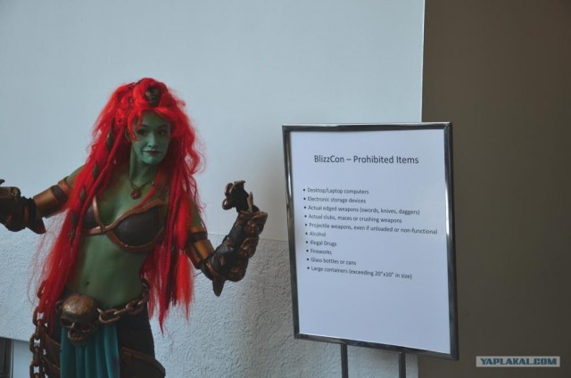 Blizzcon 2011: Конкурс костюмов.