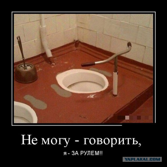 Прикольные картинки и демотиваторы