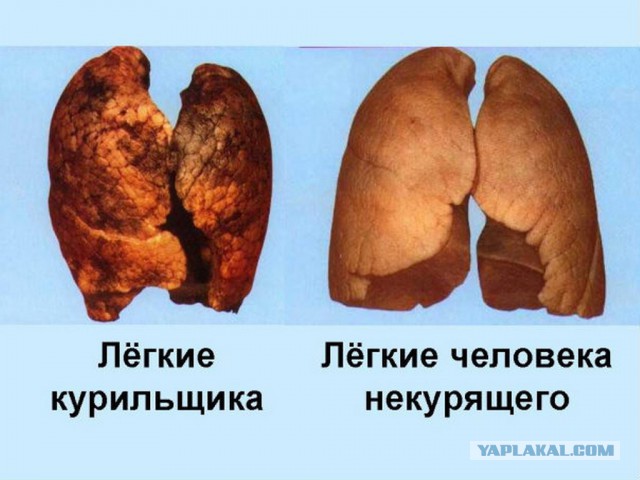Курящие женщины кончают раком.