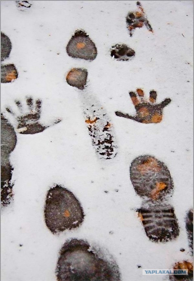 Утро 1 го января