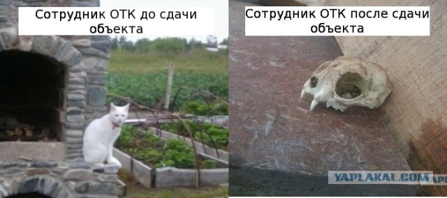 Беседка  в  стиле  фэнтази  2ч.