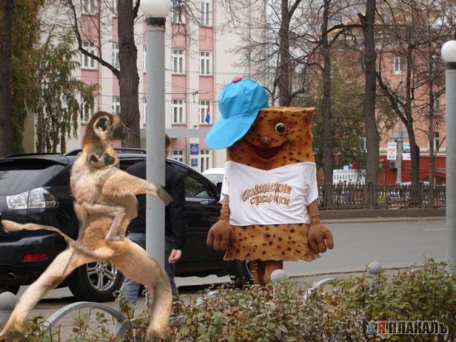 Фотожаба: Аццкий Сухарь