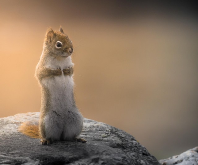 Подборка картинок