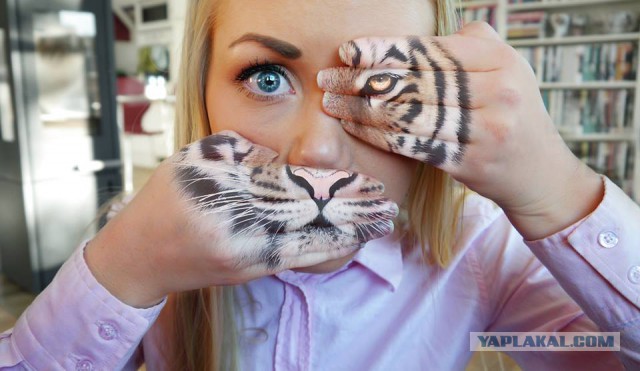 Подборка интересных и веселых картинок