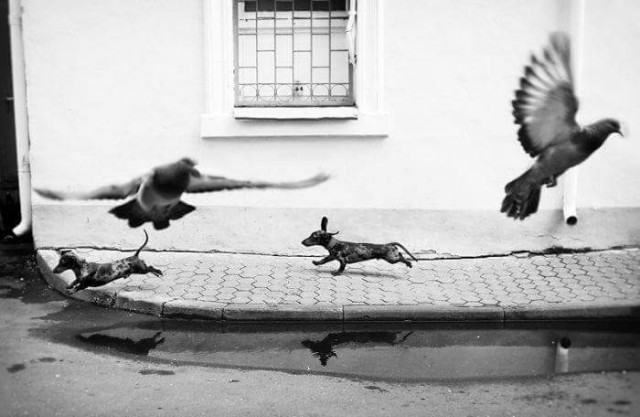 Интересные фотографии из прошлого