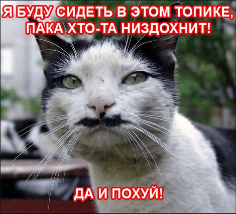 Про погоду: мы все умрем!