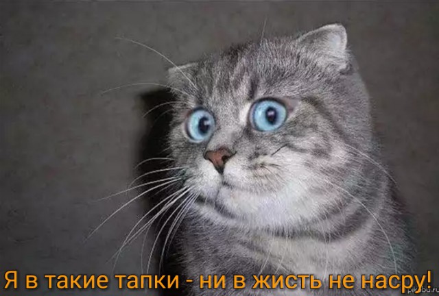 Это вообще как понимать?
