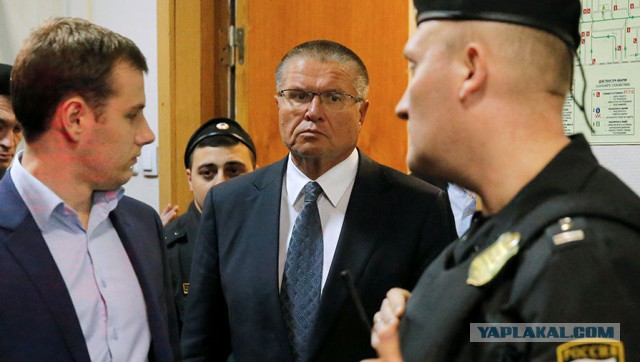 40 самых впечатляющих новостных снимков 2016 года