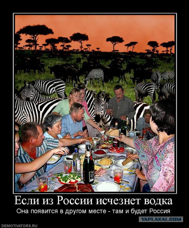 10 полезных свойств водки, которые действительно работают