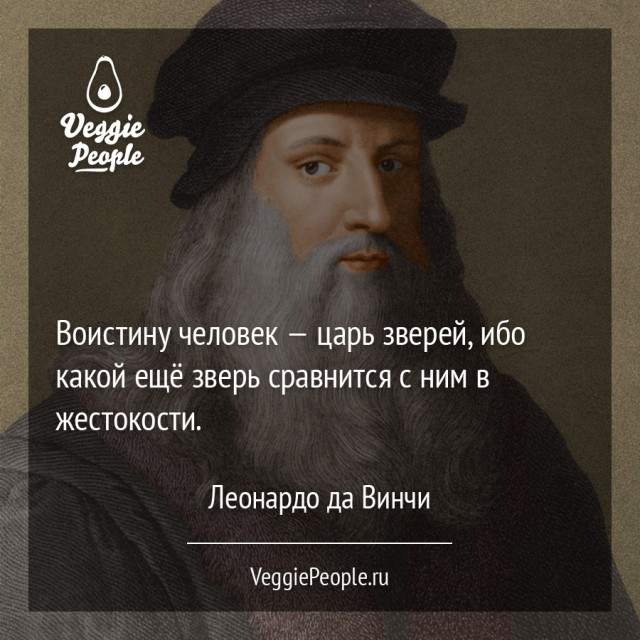В Казани девочка давила голубей гироскутером 28.07.17