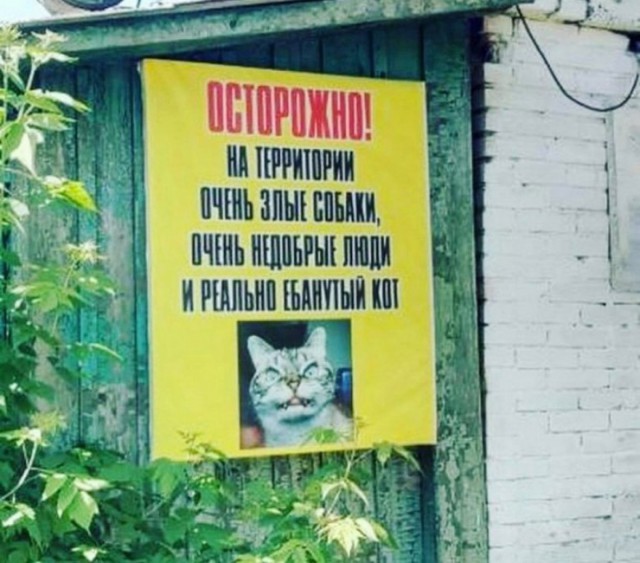 Странный юмор