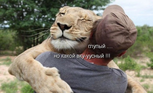 Забавные фото с надписями
