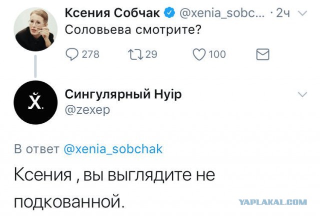 Смешные комментарии из социальных сетей 24.11.2017
