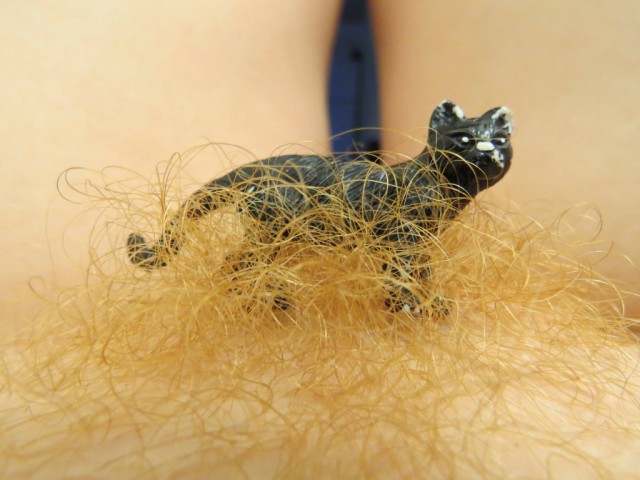 Милые рыжие девушки