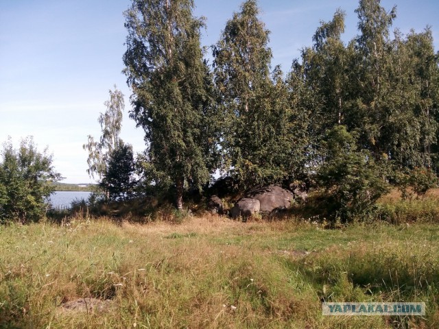 Братья и сестры