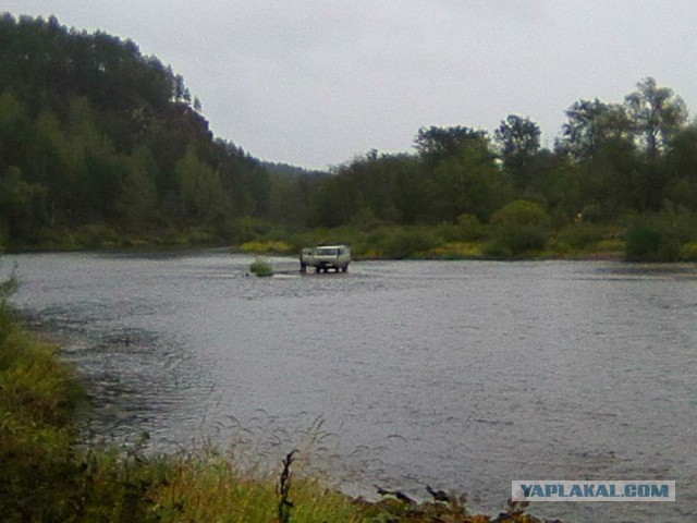 Командировка. В леса